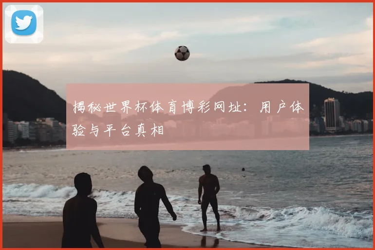 揭秘世界杯体育博彩网址:用户体验与平台真相