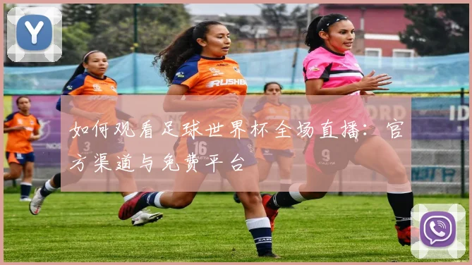 如何观看足球世界杯全场直播：官方渠道与免费平台