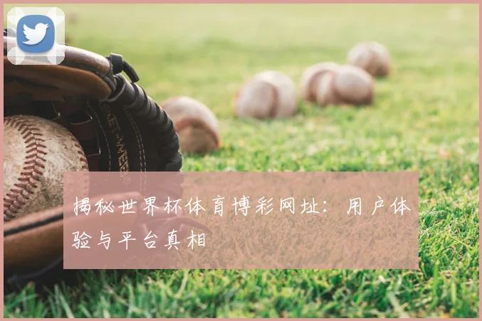 揭秘世界杯体育博彩网址:用户体验与平台真相