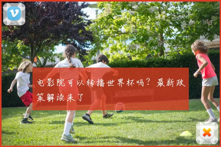 电影院可以转播世界杯吗?最新政策解读来了